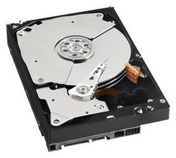 ������� ���� Western Digital Caviar Black 1 ��