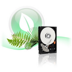 Жесткий диск Western Digital Caviar Green 800 ГБ Жесткий диск Western Digital Caviar Green 800 ГБ