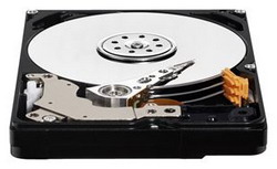 ������� ���� Western Digital WD5000BPVT