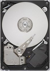 ������� ���� Seagate Barracuda 7200.12