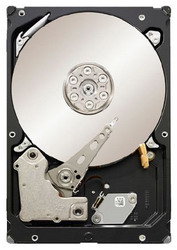Жесткий диск Seagate ST32000644NS Жесткий диск Seagate ST32000644NS