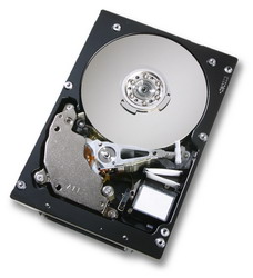 Жесткий диск IBM 42D0747 Жесткий диск IBM 42D0747