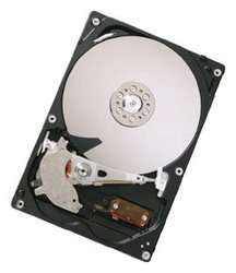 Жесткий диск IBM 49Y3729 Жесткий диск IBM 49Y3729