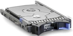 Жесткий диск IBM 43W7626 Жесткий диск IBM 43W7626