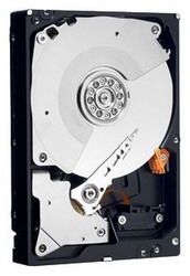 ������� ���� Western Digital WD2003FYYS