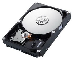 Жесткий диск Samsung HD256GJ Жесткий диск Samsung HD256GJ
