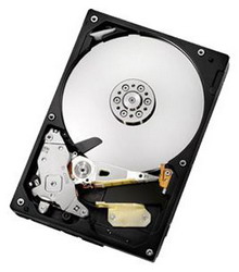 ������� ���� Hitachi HDS5C1032CLA382