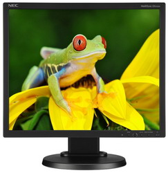 Монитор NEC MultiSync EA192M Монитор NEC MultiSync EA192M