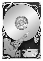 Жесткий диск Seagate ST91000640NS Жесткий диск Seagate ST91000640NS