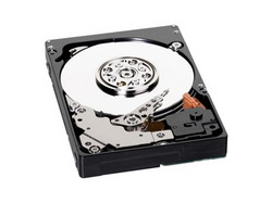 Жесткий диск Western Digital WD6000BLHX Жесткий диск Western Digital WD6000BLHX