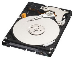 Жесткий диск Western Digital WD5000BPKT Жесткий диск Western Digital WD5000BPKT
