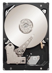 ������� ���� Seagate ST33000651AS