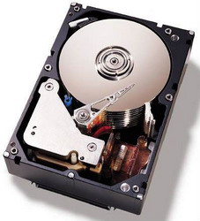 Жесткий диск IBM 42D0777 Жесткий диск IBM 42D0777