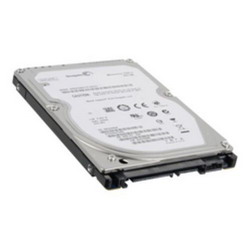 ������� ���� Seagate ST250LT021