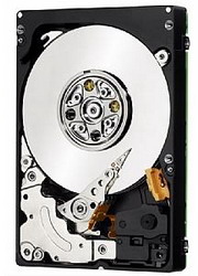 Жесткий диск IBM 81Y9758 Жесткий диск IBM 81Y9758