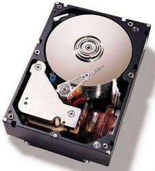 Жесткий диск IBM 59Y5536 Жесткий диск IBM 59Y5536