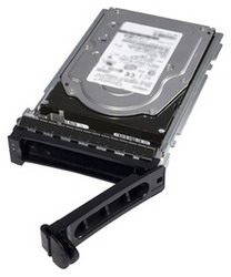 ������� ���� Dell 174496