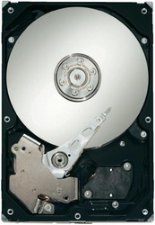 ������� ���� Seagate ST3500411SV