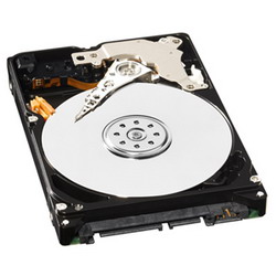 Жесткий диск Western Digital WD3200BUDT Жесткий диск Western Digital WD3200BUDT
