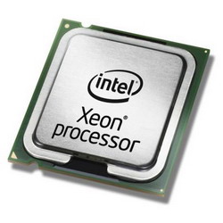 Процессор IBM Intel Xeon X7550 x3850X5M3 Процессор IBM Intel Xeon X7550 x3850X5M3