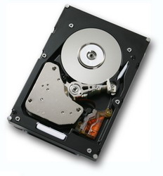 Жесткий диск IBM 42D0787 Жесткий диск IBM 42D0787