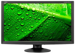 ������� NEC AccuSync AS241W