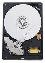 ������� ���� Western Digital Caviar Green 320 ��