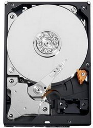 ������� ���� Western Digital WD10EZRX
