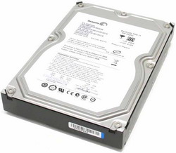 Жесткий диск Seagate ST3500312CS Жесткий диск Seagate ST3500312CS