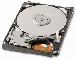 ������� ���� Toshiba MK5065GSXF