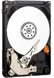 Жесткий диск Western Digital Caviar Blue 250 ГБ Жесткий диск Western Digital Caviar Blue 250 ГБ