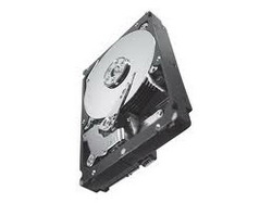 Жесткий диск Seagate ST32000645NS Жесткий диск Seagate ST32000645NS