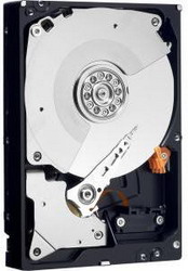 ������� ���� Western Digital WD4000FYYZ