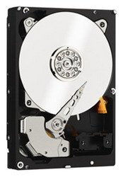 ������� ���� Western Digital WD3000FYYZ