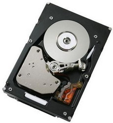 Жесткий диск IBM 00Y2505 Жесткий диск IBM 00Y2505