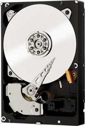 ������� ���� Western Digital WD2000F9YZ