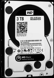 ������� ���� Western Digital WD3003FZEX