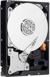 ������� ���� Western Digital WD40EURX