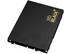 ������� ���� Western Digital WD1001X06XDTL