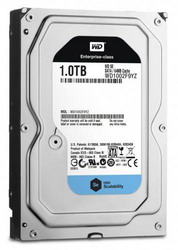 ������� ���� Western Digital Caviar Black 1 ��