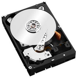 Жесткий диск Western Digital WD4001FFSX Жесткий диск Western Digital WD4001FFSX