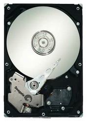 Жесткий диск Seagate ST3250310NS Жесткий диск Seagate ST3250310NS