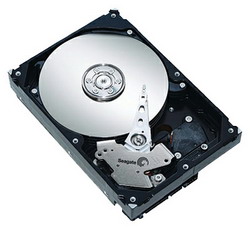 ������� ���� Seagate ST3320613AS