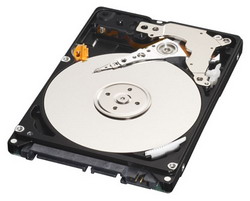 Жесткий диск Western Digital Scorpio Black 160 ГБ Жесткий диск Western Digital Scorpio Black 160 ГБ