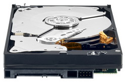 Жесткий диск Western Digital RE3 1 ТБ Жесткий диск Western Digital RE3 1 ТБ