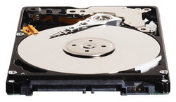 ������� ���� Western Digital WD1200BEVT