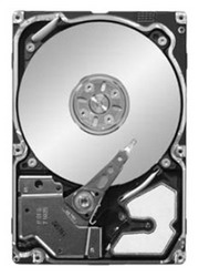 ������� ���� Seagate ST9300603SS