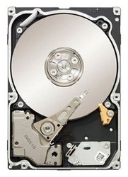 ������� ���� Seagate ST9500530NS