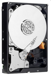 ������� ���� Western Digital Caviar Green 500 ��