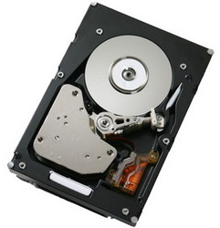 Жесткий диск IBM 42D0752 Жесткий диск IBM 42D0752